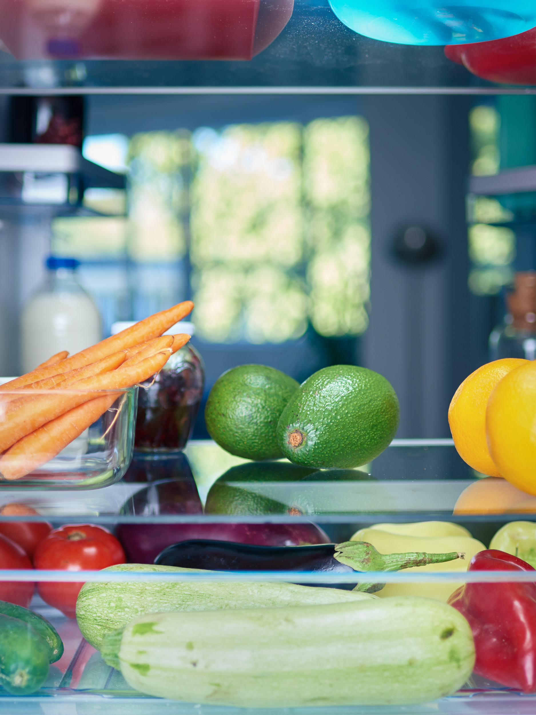 SIBIR refrigerator contents food